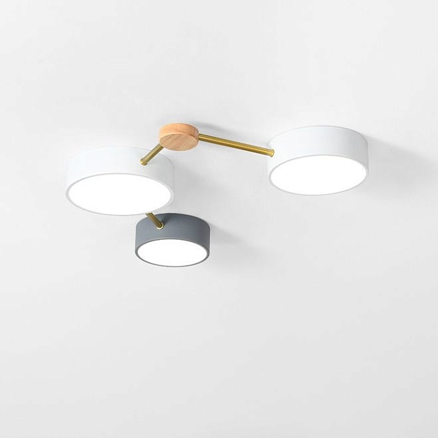 Потолочный светодиодный светильник Imperium Loft Solen 207842-26 изображение 1 Потолочный светодиодный светильник Imperium Loft Solen 207842-26 Фото № 1