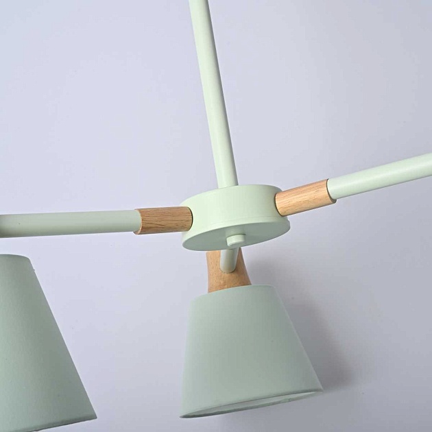 Подвесная люстра Imperium Loft Natura 101824-26 Фото № 7