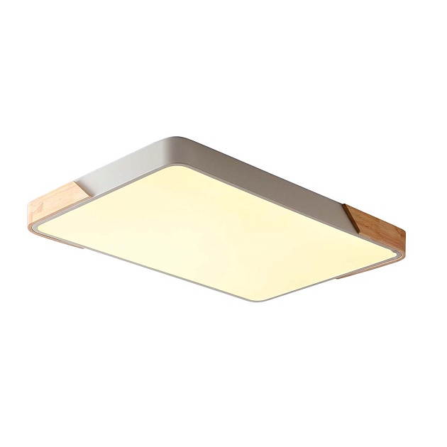 Потолочный светильник Zortes ALBERRO ZRS.01233.60 Фото № 1