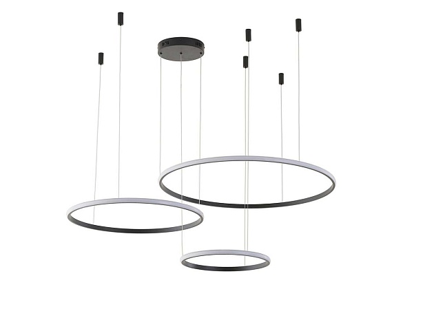 Подвесной светильник Zortes RINGOLIGHT ZRS.33320.120F Фото № 3