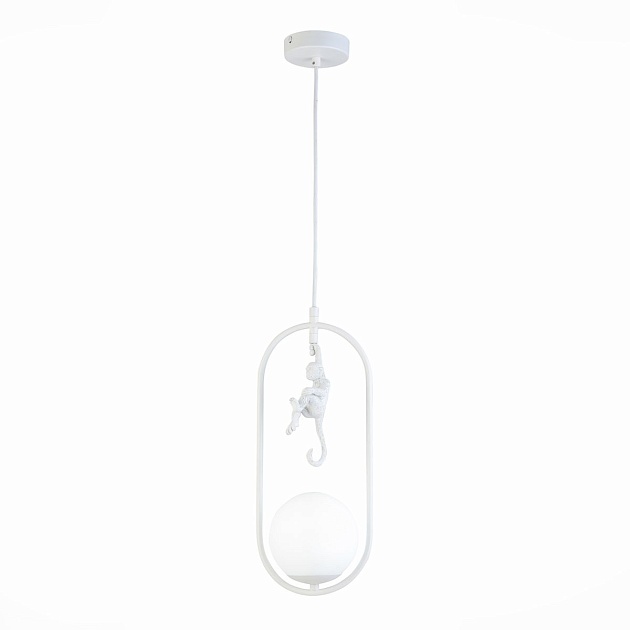 Подвесной светильник Evoluce Tenato SLE115123-01 Фото № 1