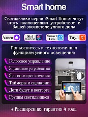 Подвесной светодиодный светильник Natali Kovaltseva Smart Home Led Lamps 81221 1
