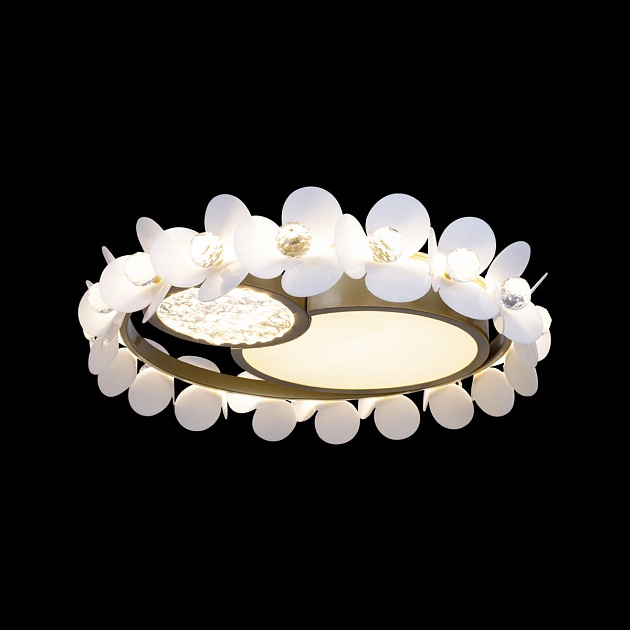 Потолочный светодиодный светильник Loft IT Bride 10173 Фото № 3