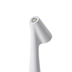 Настольная лампа Freya Clam FR6188TL-L3W 3