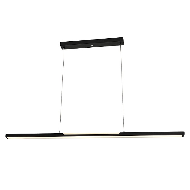 Подвесной светодиодный светильник Escada Projection 604/S LED Фото № 3