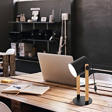 Настольная лампа Eglo Hornwood 43519 1