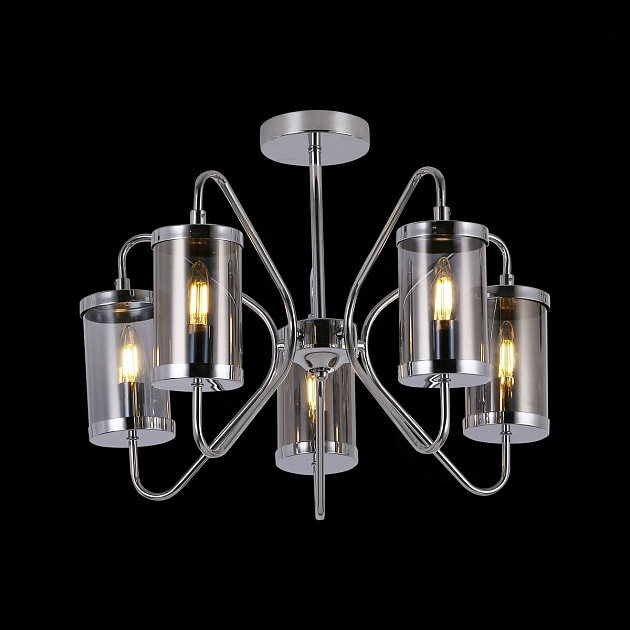 Потолочная люстра Evoluce Valieri SLE102302-05 изображение 2 Потолочная люстра Evoluce Valieri SLE102302-05 Фото № 2