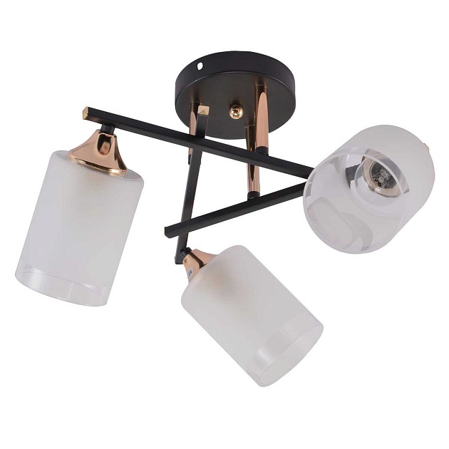 Потолочная люстра Rivoli Fiona 3163-303 Б0059259 Фото № 1