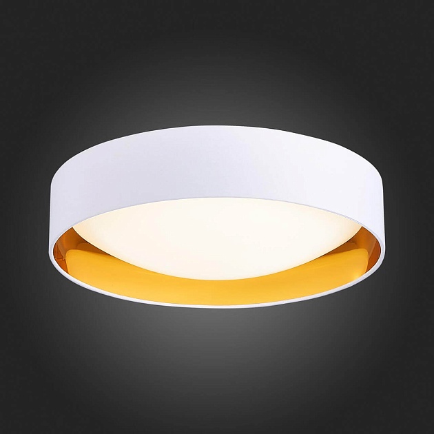 Потолочный светодиодный светильник Evoluce Orbio SLE201122-01 Фото № 6