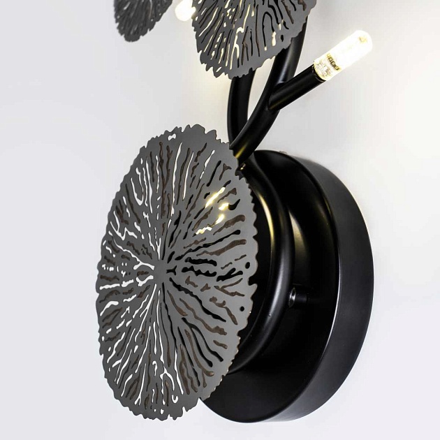 Настенный светильник Modelux Modestyle MS.1502.05 BK Фото № 3