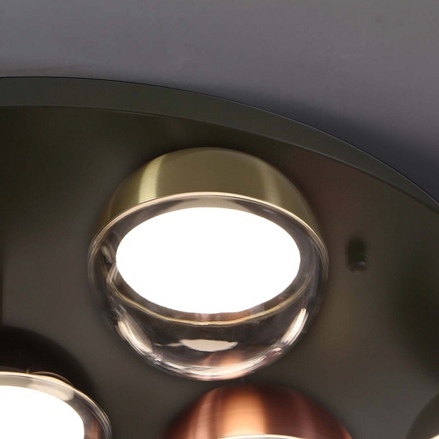 Потолочная светодиодная люстра Favourite Luna 4371-12C Фото № 7