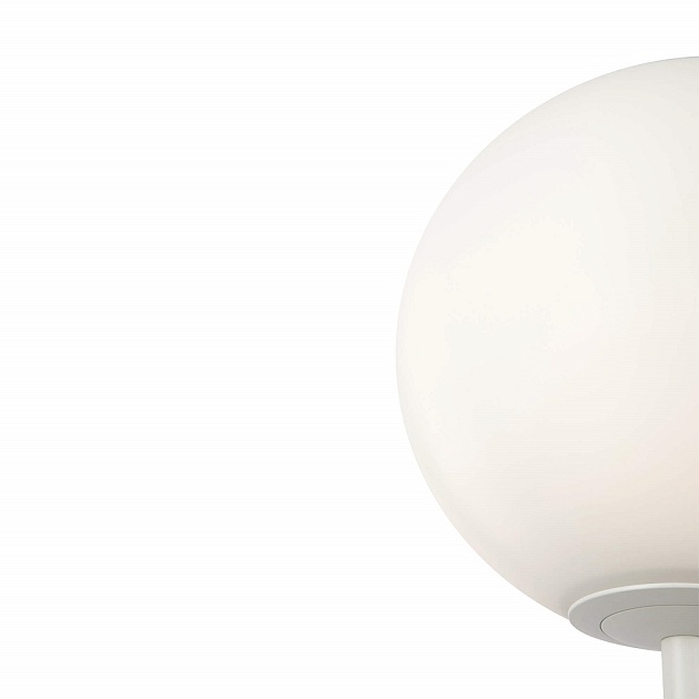 Торшер Maytoni Ring MOD013FL-01W Фото № 2