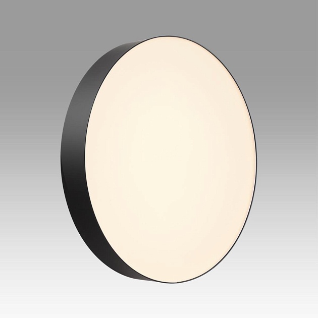 Настенно-потолочный светильник Sonex BASICA 7780/ELN изображение 3 Настенно-потолочный светильник Sonex BASICA 7780/ELN Фото № 3