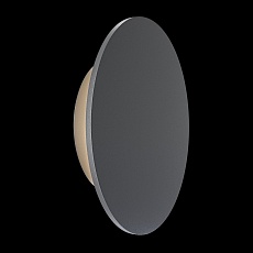 Уличный настенный светодиодный светильник Maytoni Wald O420WL-L7GF 1