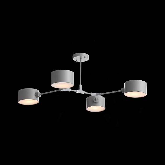 Потолочная люстра Evoluce Gimento SLE183702-04 изображение 6 Потолочная люстра Evoluce Gimento SLE183702-04 Фото № 6