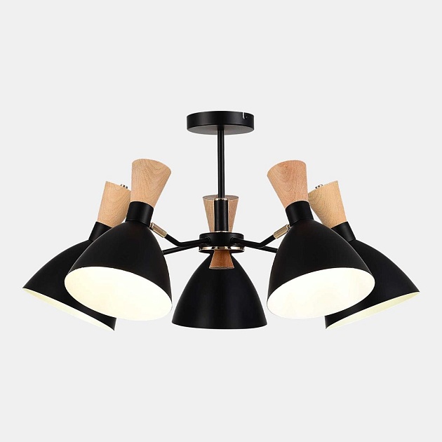 Потолочная люстра Evoluce Vista SLE1256-402-05 Фото № 1