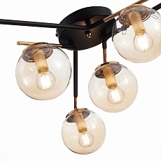 Потолочная люстра Evoluce LITERNO SLE106902-06 3