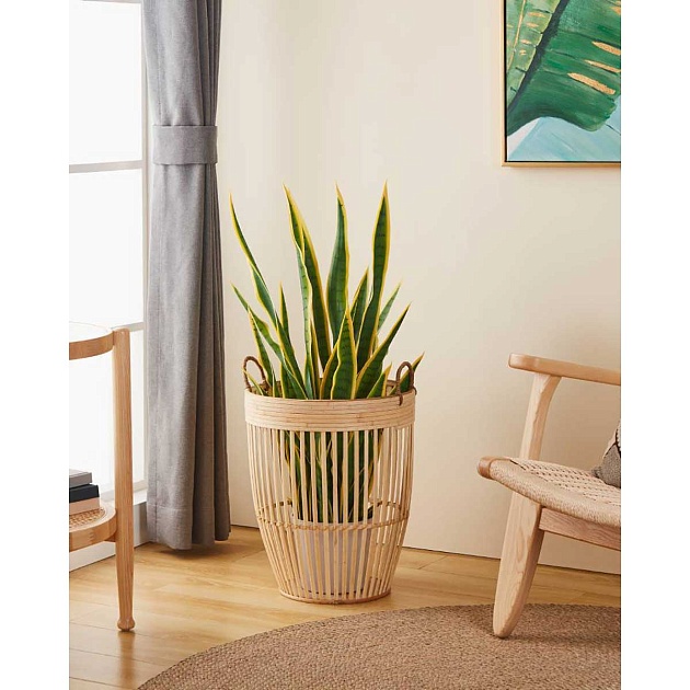 Корзина декоративная Eglo NARAHA 426512 изображение 3 Корзина декоративная Eglo NARAHA 426512 Фото № 3