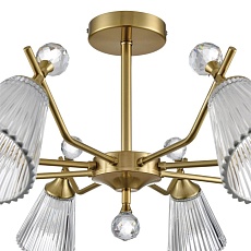 Потолочная люстра Lumion Classi Aurica 8046/8C 5