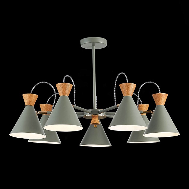 Потолочная люстра Evoluce Modica SLE125112-07 Фото № 4