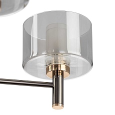 Люстра на штанге Citilux ELAN CL241151 4