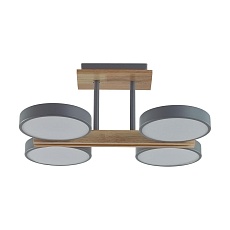 Потолочная светодиодная люстра Lumion Plato Ledio 8031/72CL