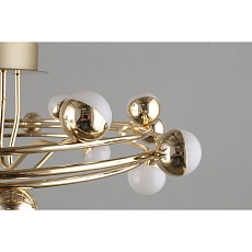 Потолочная светодиодная люстра Aployt Delfin APL.774.07.54 5