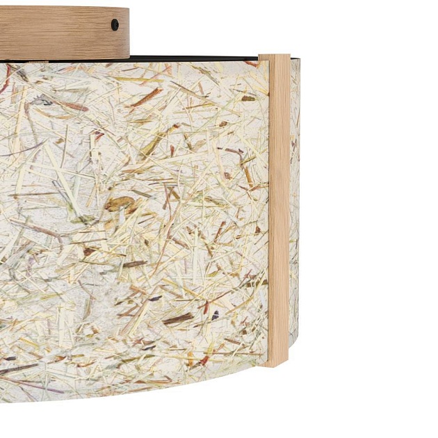 Потолочный светильник Eglo Hontongas 390322 Фото № 4