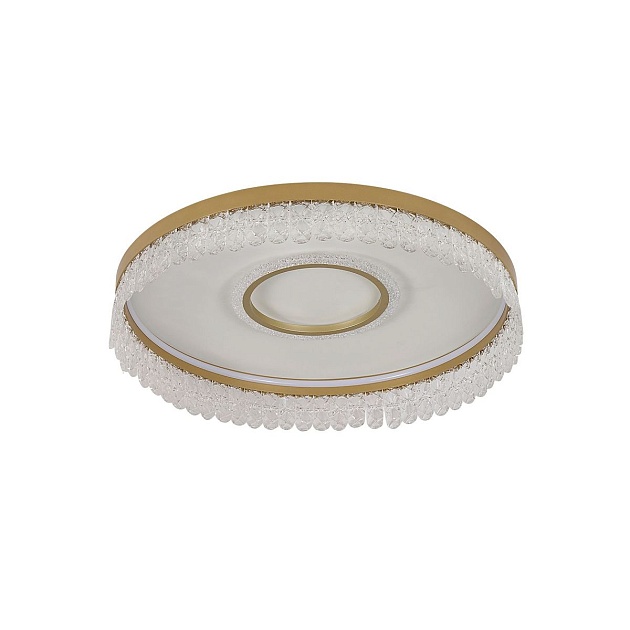 Потолочный светодиодный светильник F-Promo Lunetta 4186-2C Фото № 1