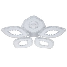 Потолочная светодиодная люстра Escada Dew 10271/5LED