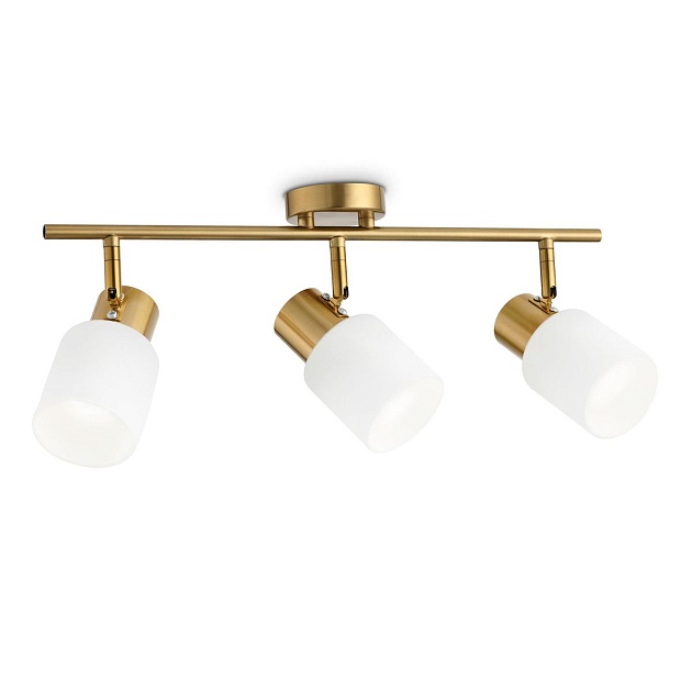 Спот Ambrella light Traditional TR3972 Фото № 1