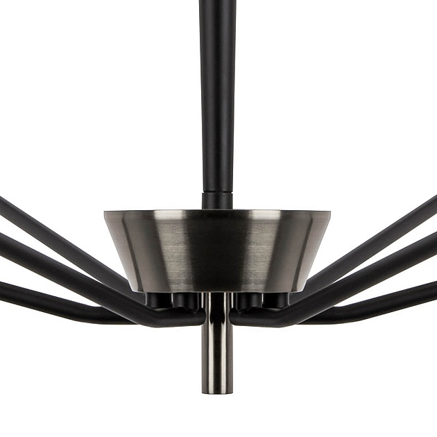 Подвесная люстра Lightstar Ragno 732167 изображение 6 Подвесная люстра Lightstar Ragno 732167 Фото № 6