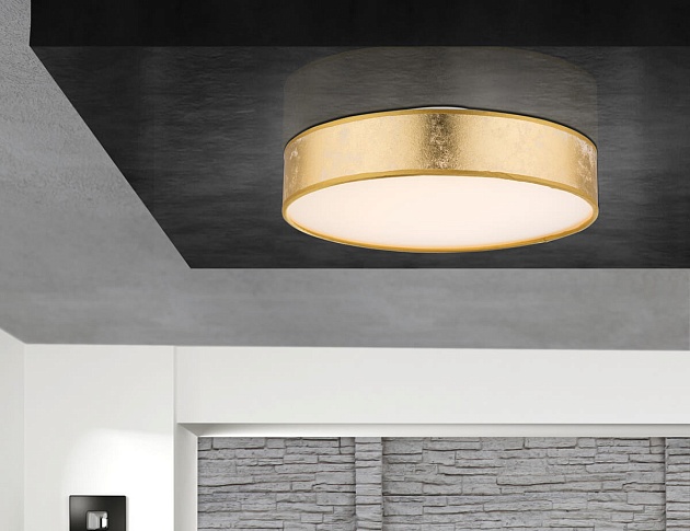 Потолочный светодиодный светильник Globo Amy 15187D1 Фото № 2