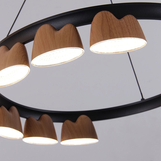 Подвесная светодиодная люстра Favourite Interline 4266-9P Фото № 3