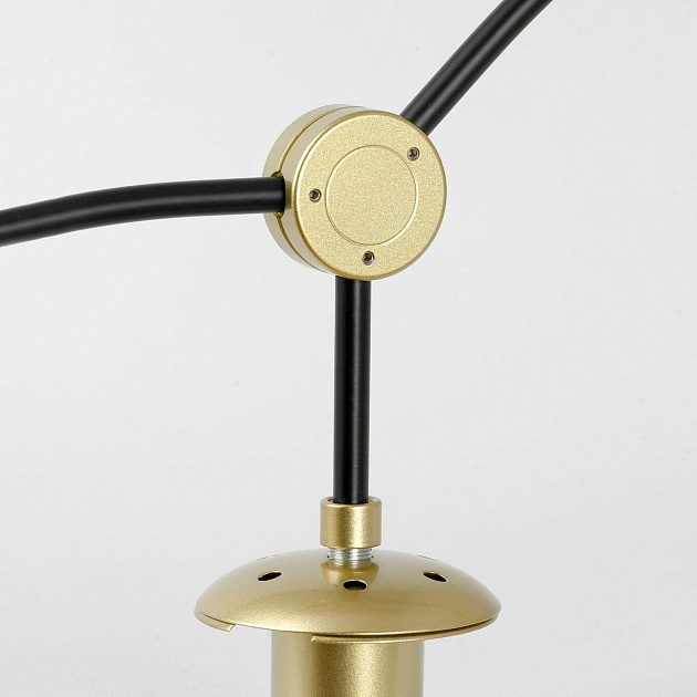 Подвесная люстра Lussole LSP-8913 Фото № 4