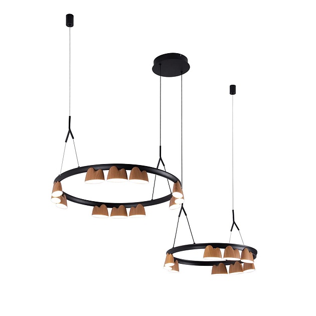 Подвесная светодиодная люстра Favourite Interline 4266-21P Фото № 9