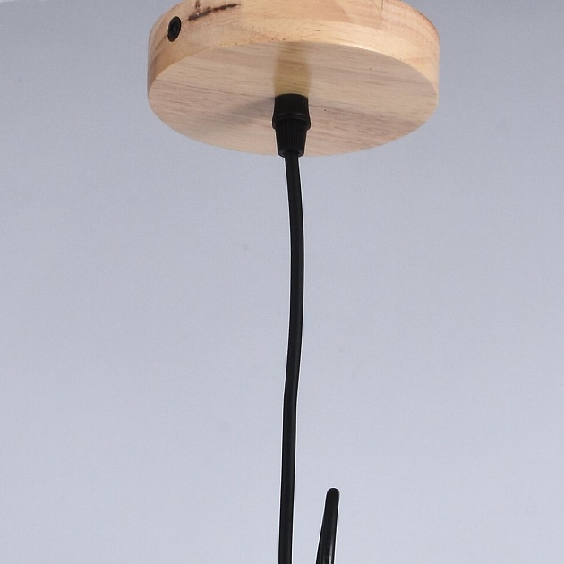 Подвесной светильник Illumico IL1011-1P-05 BK изображение 2 Подвесной светильник Illumico IL1011-1P-05 BK Фото № 2