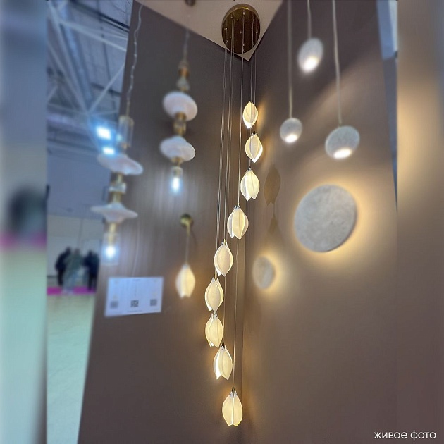 Подвесная люстра Crystal Lux Flowers SP9 Фото № 4