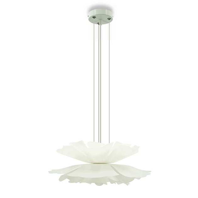 Подвесная люстра Lightera Chad LE116L-60W Фото № 1
