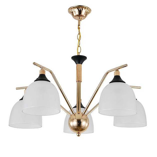 Подвесная люстра Escada Actinidia 2123/5P изображение 1 Подвесная люстра Escada Actinidia 2123/5P Фото № 1