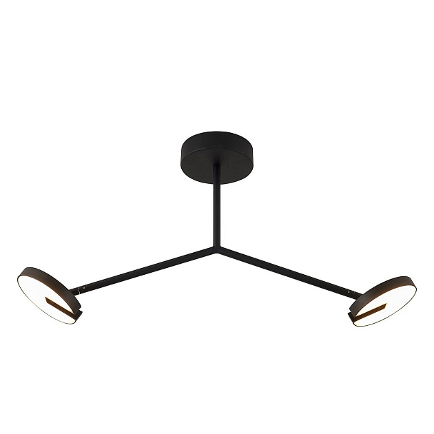 Потолочная светодиодная люстра Favourite Paritet 4401-2C изображение 1 Потолочная светодиодная люстра Favourite Paritet 4401-2C Фото № 1