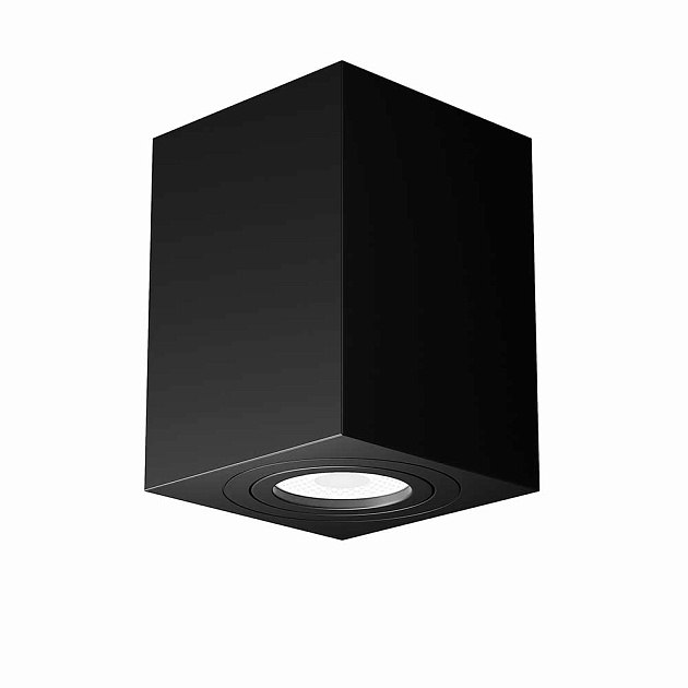 Потолочный светильник Maytoni Alfa C017CL-01B Фото № 1