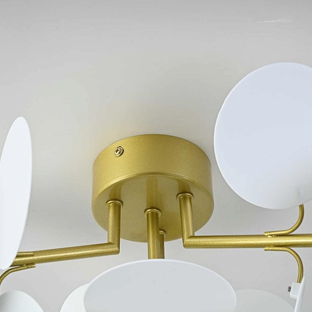 Потолочная люстра Imperium Loft Matisse 167195-26 изображение 9 Потолочная люстра Imperium Loft Matisse 167195-26 Фото № 9