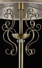 Торшер Freya Driana FR2405-FL-01-BZ 2