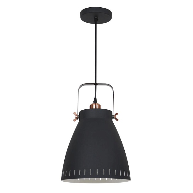 Подвесной светильник Camelion PL-428L C62 13072 Фото № 1