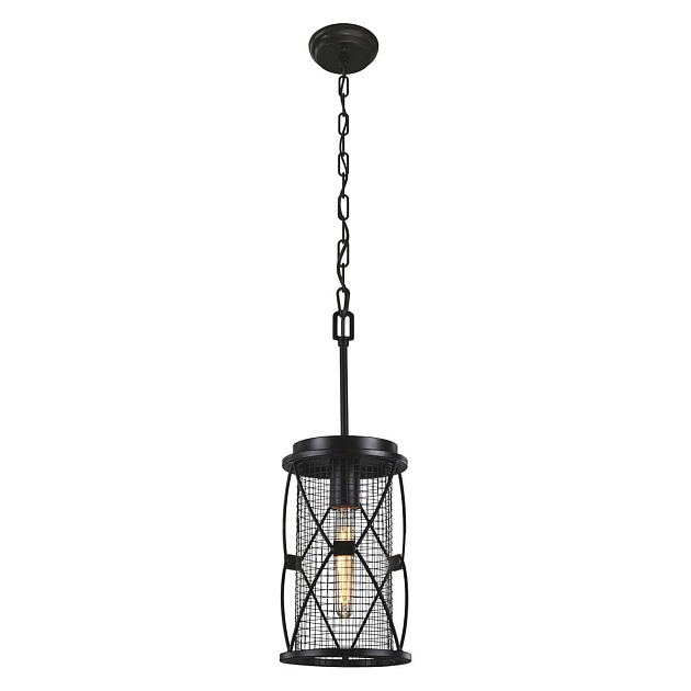 Подвесной светильник Favourite Mesh 1783-1P Фото № 1