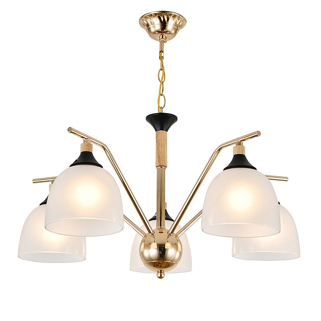 Подвесная люстра Escada Actinidia 2123/5P изображение 4 Подвесная люстра Escada Actinidia 2123/5P Фото № 4