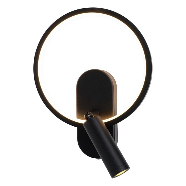 Светильник настенный Aployt Monik APL.346.01.02 Фото № 1