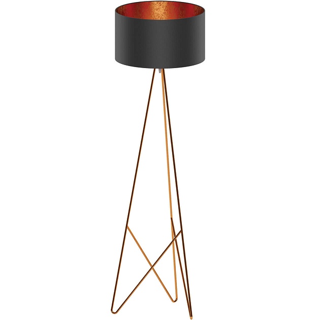 Торшер Eglo Camporale 39229 Фото № 1