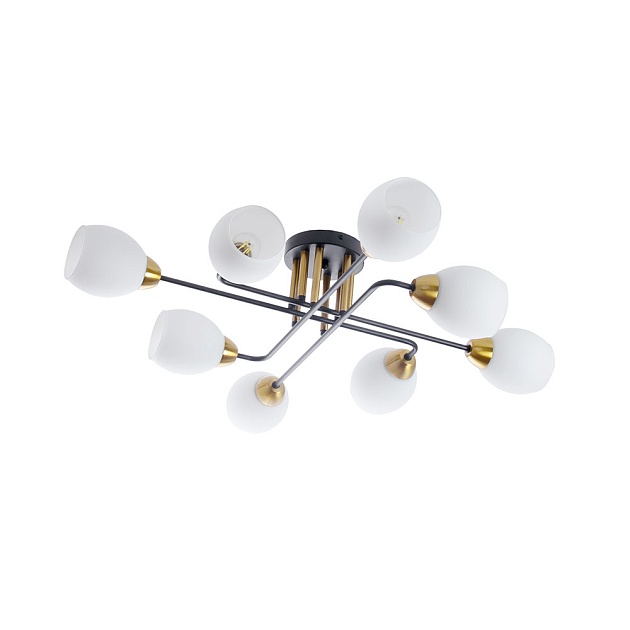 Потолочная люстра Arte Lamp ANDREA A8141PL-8BK Фото № 1